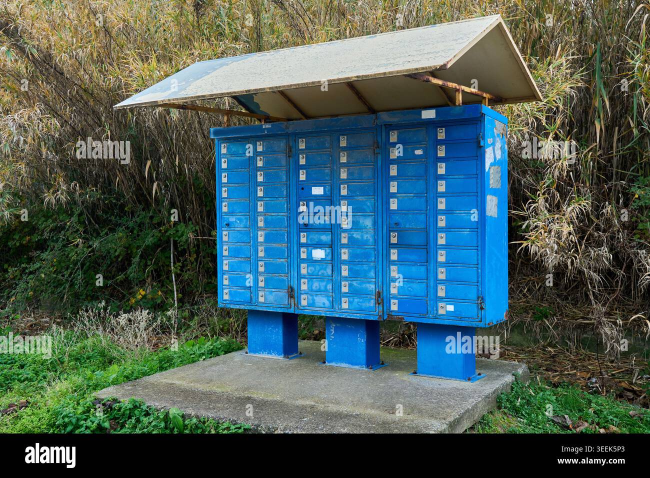 Ein großer blauer Cluster-Briefkasten im Freien mit einem Metalldach, das von ländlichen, bewachsenen grünen Büschen auf einer Betonplatte steht. Stockfoto
