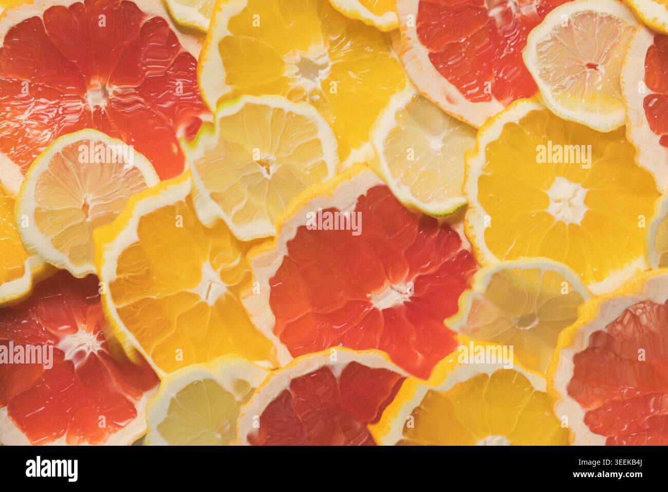 Nahaufnahme reifer saftiger Orangen-, Grapefruit- und Zitronenfruchtscheiben, mit Wasser, das von oben gewellt ist. Heller, farbenfroher und erfrischender Hintergrund für gesunde f Stockfoto