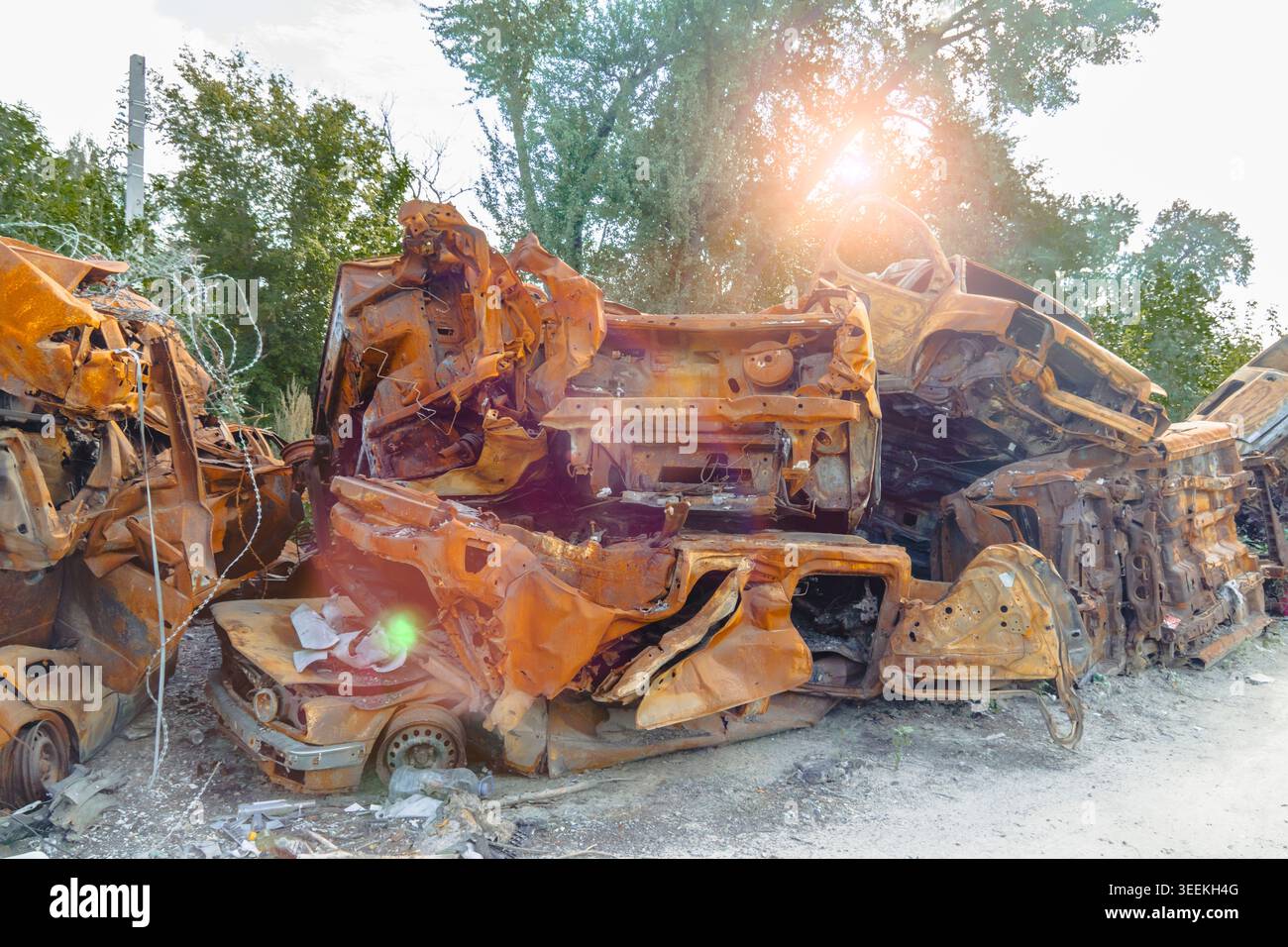 Ein großer Haufen vollständig verbrannter und rostfreier Metallwagen, die durch ein Feuer zerstört wurden, stand draußen in der Nähe von grünen Bäumen mit starken Sonnenstrahlen Stockfoto