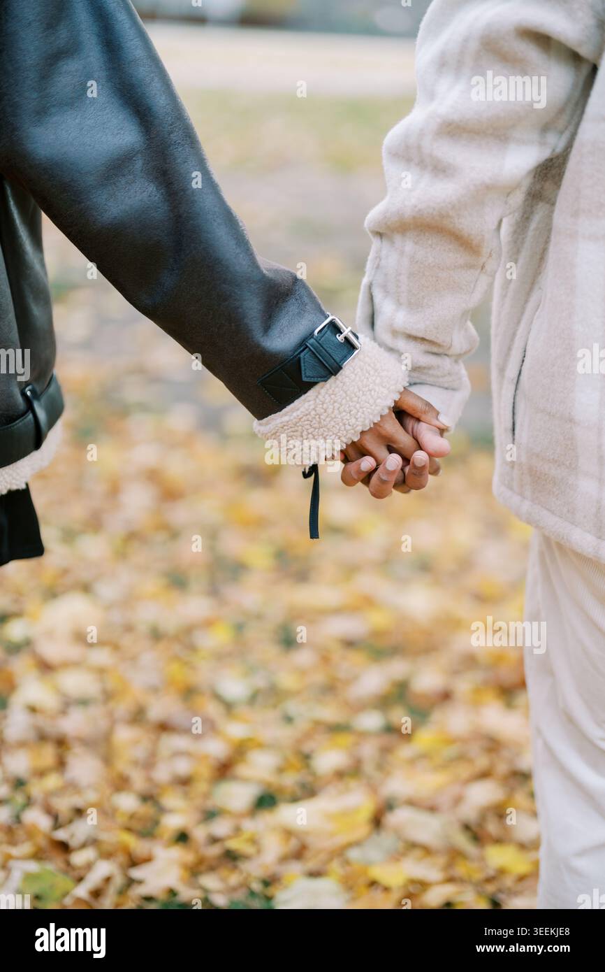 Paare, die Hände über Blätter halten, Herbstlaub unter den Füßen, gemütliche Pullover, Smartwatch-Detail, offener Spaziergang, warme Töne, saisonale Romantik, Parkatmosphäre Stockfoto