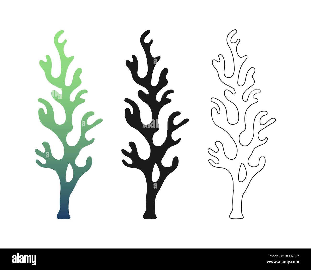 Minimalistisches Vektorset aus Staghorn-Korallen mit Farbverlauf in Grün und einfarbigen Silhouetten für aquatisches Logo und marineblaue Muster. Vektorillust Stock Vektor