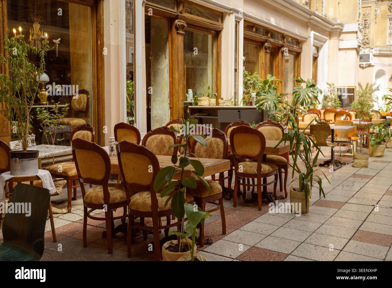 Klassisch gestaltete, luxuriöse Café-Terrasse mit weißen Säulen und Tischen. Schattierter Bereich. Das Konzept des Elite-Catering und der gehobenen Veranstaltung im Freien. Stockfoto