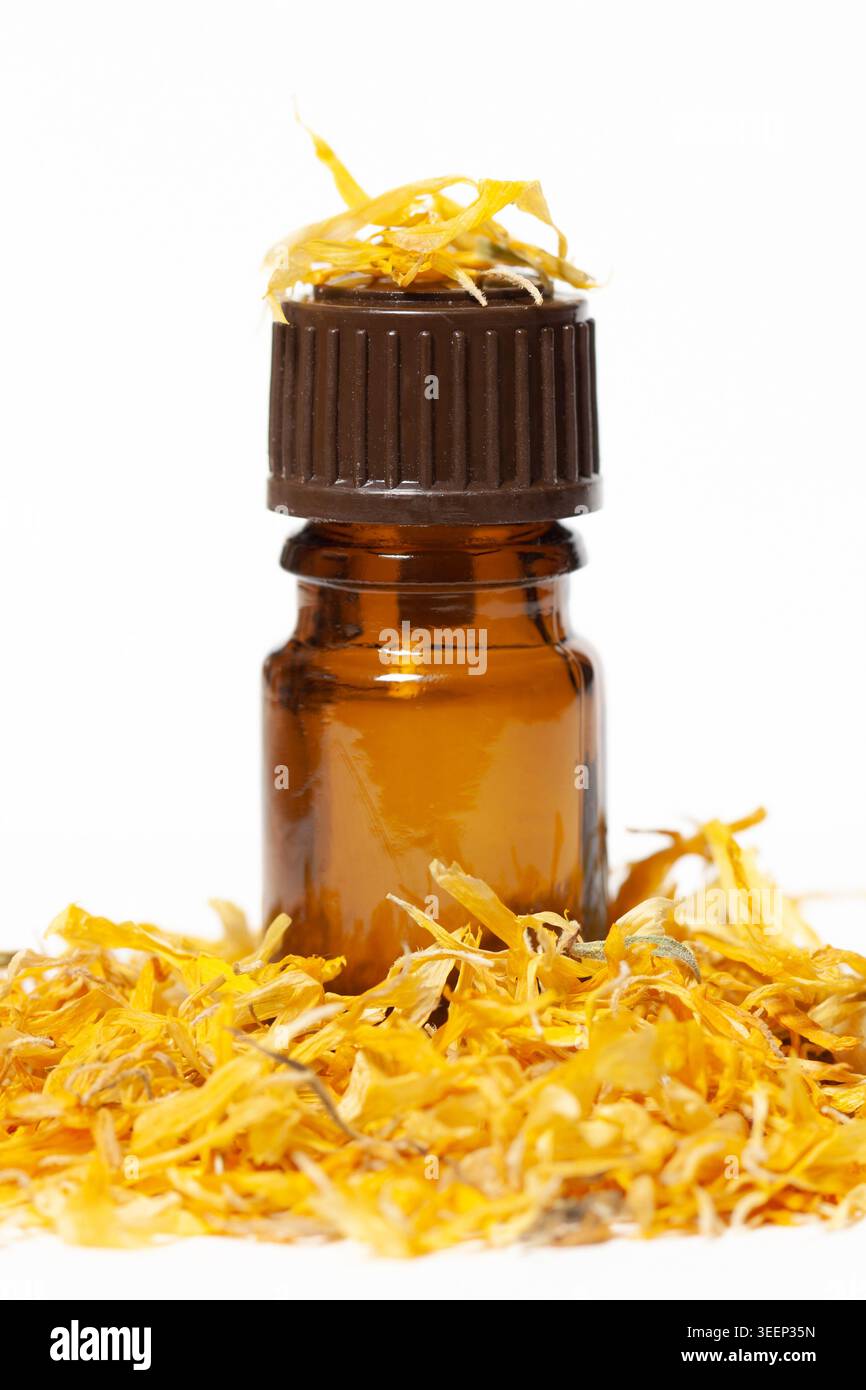 Ätherisches Calendula-Öl in brauner Bernsteinglasflasche mit getrockneten Ringelblumenblättern isoliert auf weißem Hintergrund Stockfoto
