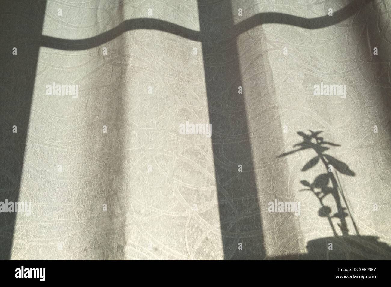 Abstraktes botanisches Muster durch Sonnenlicht auf Vorhängen Stockfoto