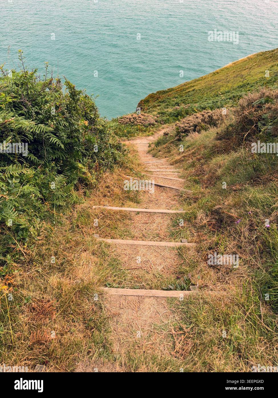 Malerische Aussicht auf Stufen auf dem Wales Coast Path rund um Dinas Head, eine Landzunge, die sich bis in die Cardigan Bay erstreckt Stockfoto