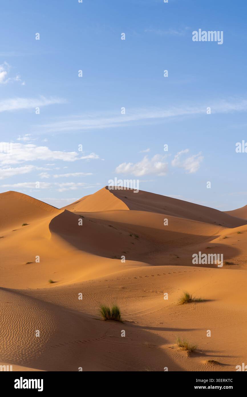 Blick auf die Sahara-Wüste in Marokko, Afrika. Die Sahara-Wüste ist die größte heiße Wüste der Welt. Stockfoto