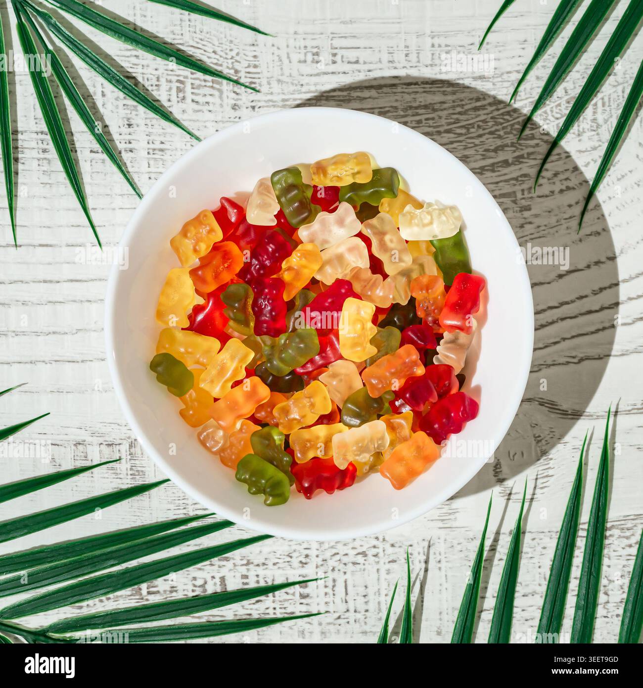Bunte, gummiartige Bonbons in weißer Schüssel, umgeben von tropischen Palmblättern im hellen Sonnenlicht. Stockfoto