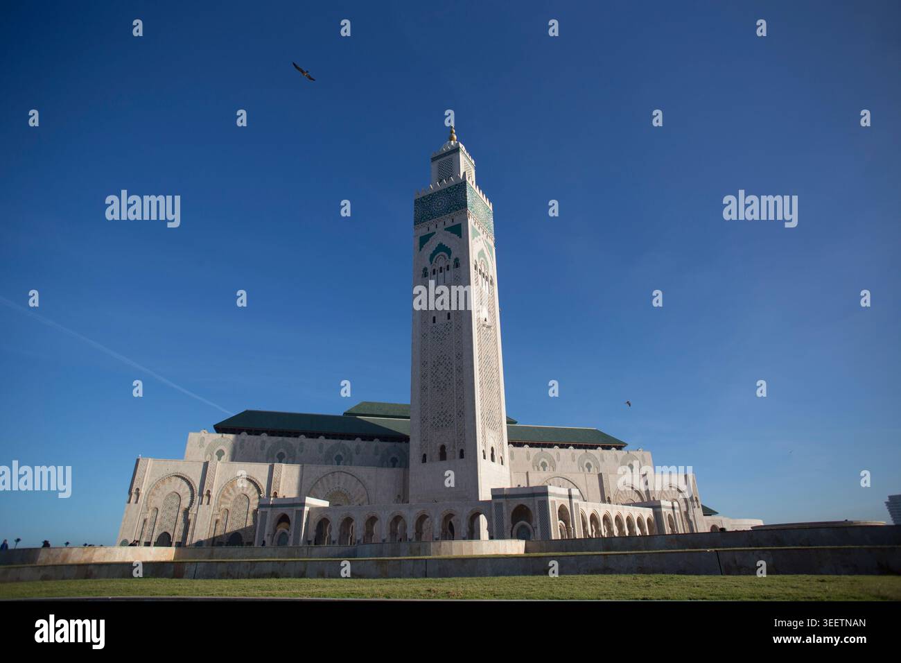 Hassan II Moschee in Casablanca, Marokko Stockfoto