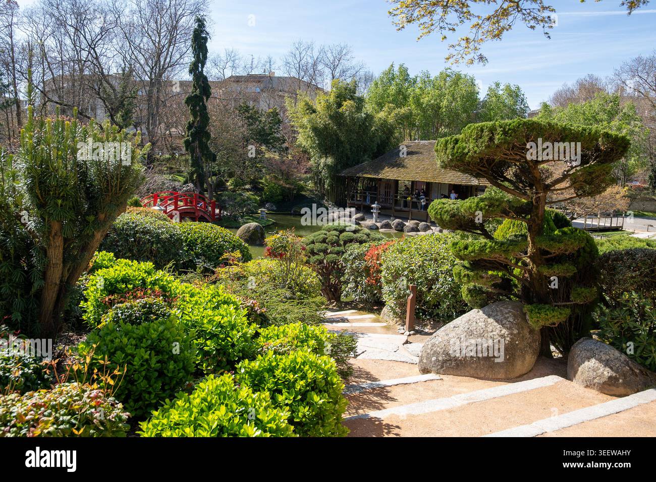 Traditionelle japanische Gartenlandschaft mit roter Brücke, Teich und Zierbäumen in Toulouse Frankreich an einem sonnigen Tag. Stockfoto