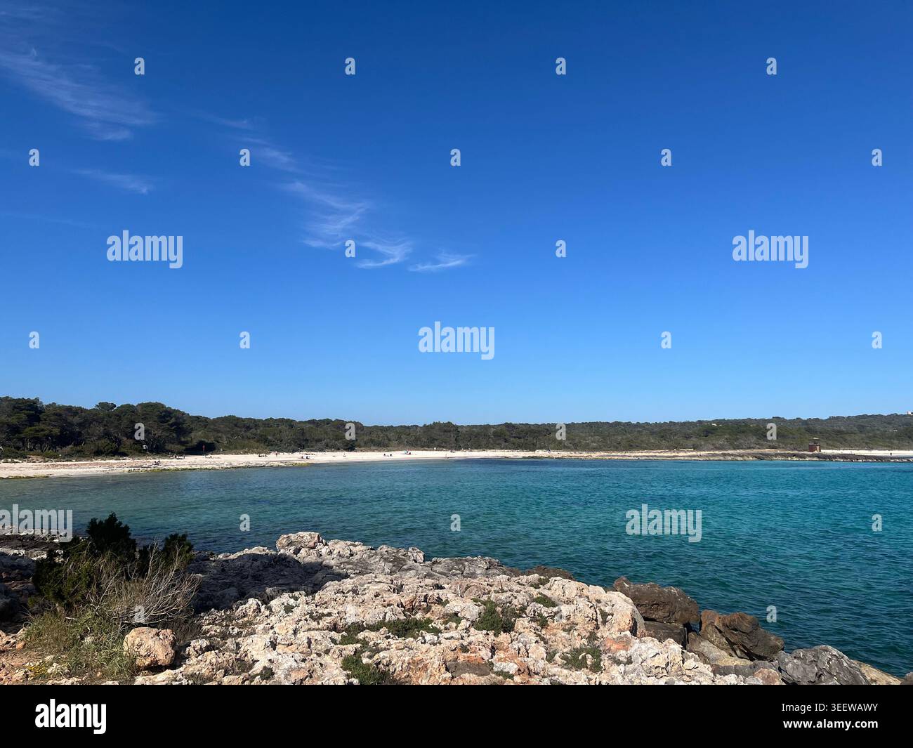Foto-Natur Stockfoto