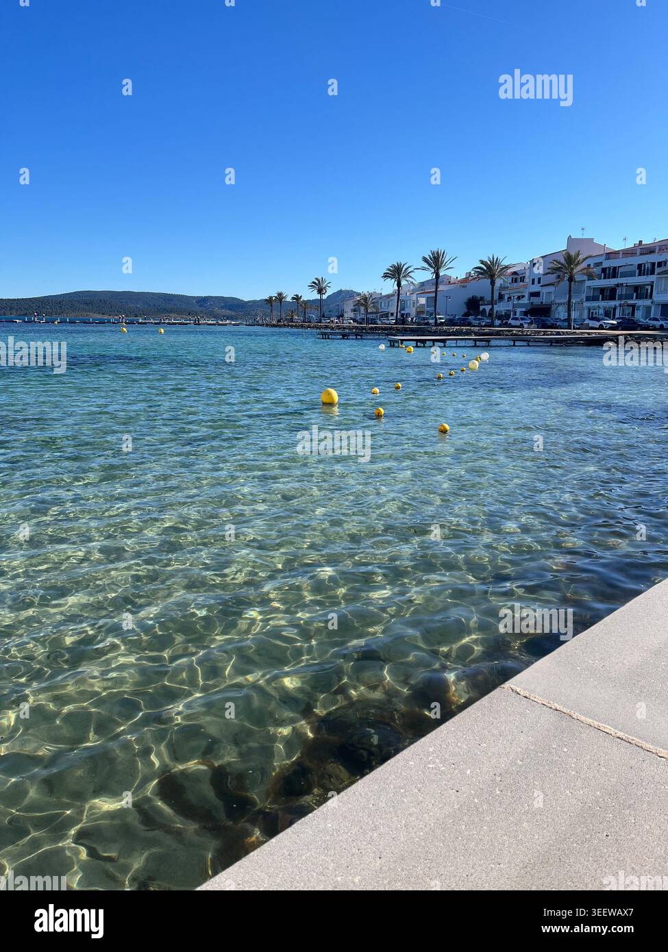 Foto-Natur Stockfoto