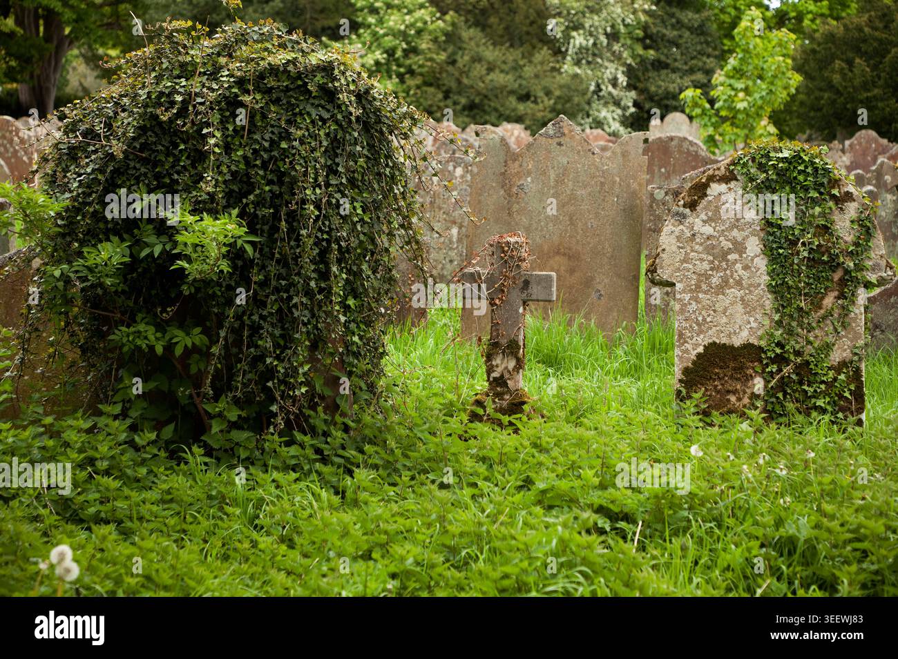 Der bewachsene Friedhof in der Lanercost Priory Church, Cumbria, Großbritannien Stockfoto