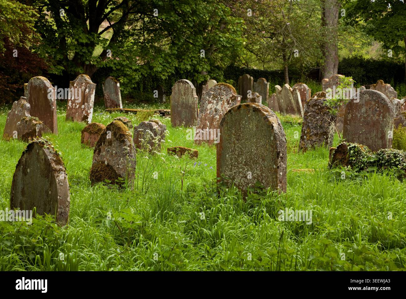 Der bewachsene Friedhof in der Lanercost Priory Church, Cumbria, Großbritannien Stockfoto