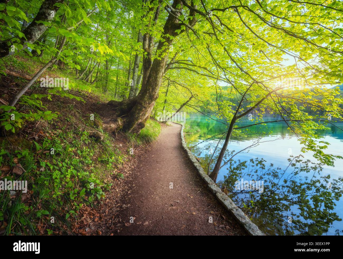 Weg in schönen Wald in der Nähe des Sees bei Sonnenuntergang im Frühjahr Stockfoto