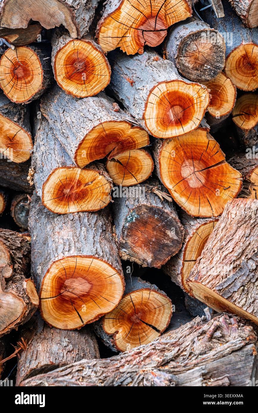 Nahaufnahme eines Stapels Brennholz in einem kleinen kretischen Dorf Stockfoto