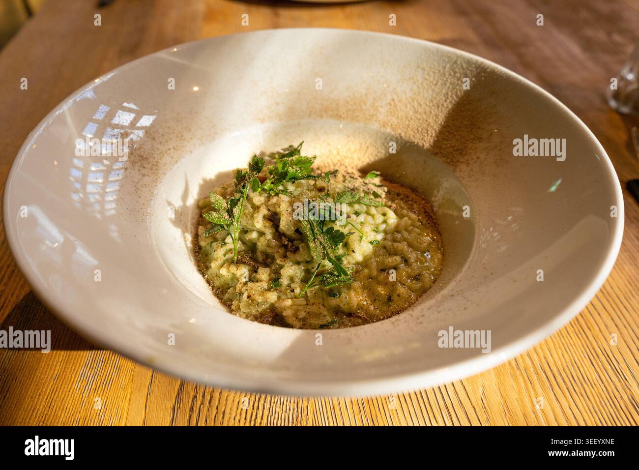 Pilz-Risotto auf elegantem Restaurant-Teller, Porcini Pilze Rissoto, köstliches italienisches Risoto-Mittagessen, cremige Reisgerichte, traditionelles Pilz-Risott Stockfoto