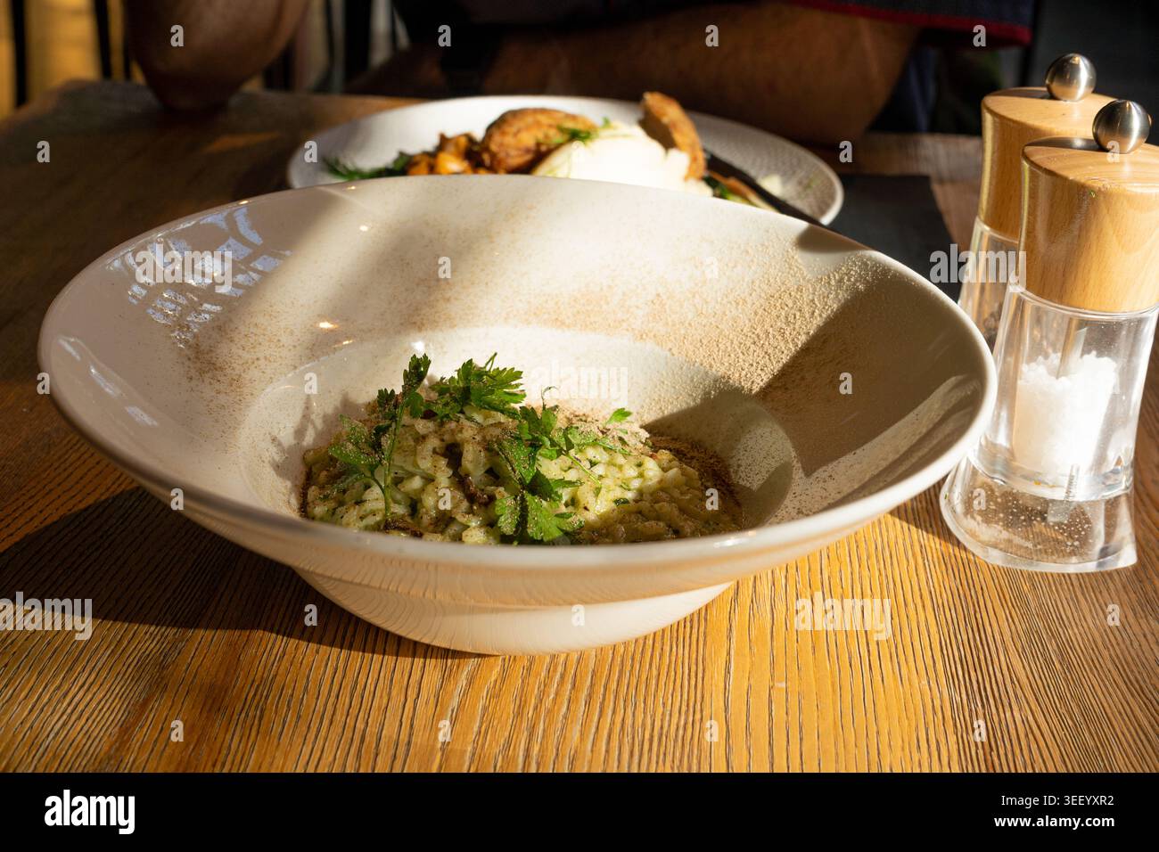 Pilz-Risotto auf elegantem Restaurant-Teller, Porcini Pilze Rissoto, köstliches italienisches Risoto-Mittagessen, cremige Reisgerichte, traditionelles Pilz-Risott Stockfoto