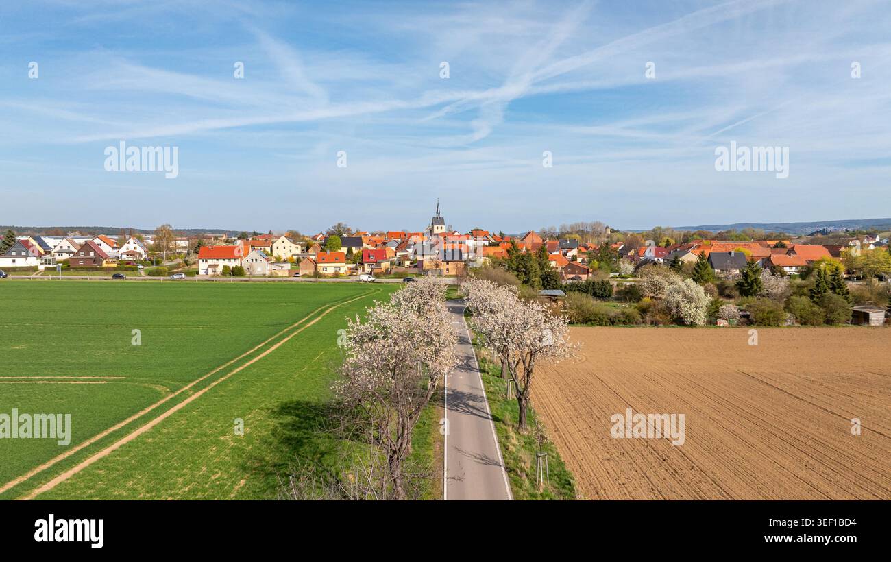 Bilder aus Westerhausen Landkreis Harz im Frühjahr mit blühenden Bäumen Stockfoto