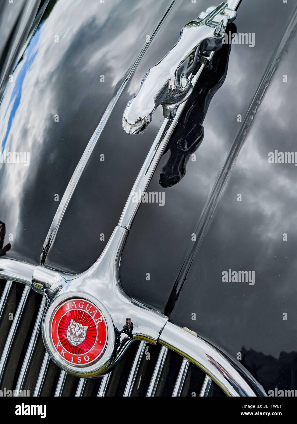 Nahaufnahme einer verchromten Kapuze mit verchromtem Kunstleder und rotem Emblem auf einem schwarzen Jaguar XK150-Vintage auf einer Automobilausstellung in Großbritannien Stockfoto