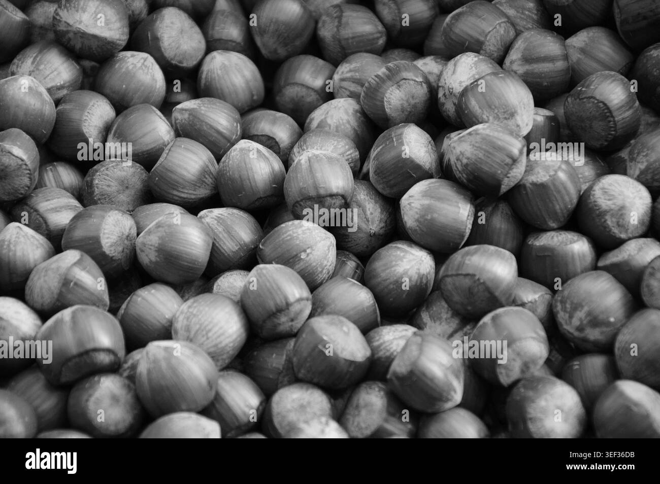 Haselnüsse zum Verkauf auf dem lokalen Bauernmarkt. Schwarzweißfoto. Stockfoto