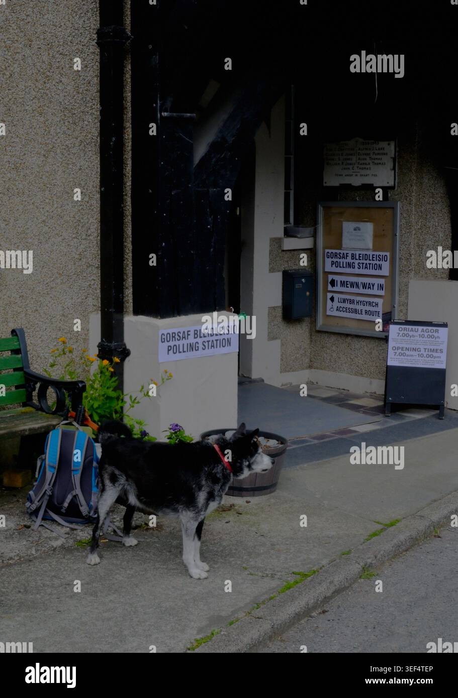Village Polling Station mit Wahlschildern und Hund draußen. Stockfoto