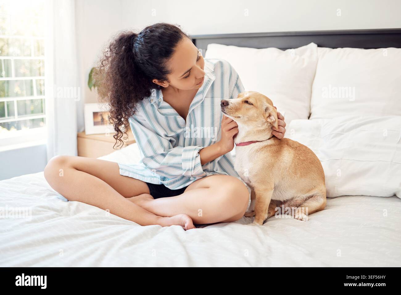 Frau, Hund und Schlaganfall auf Bett mit Pflege, Liebe und Therapie Tier als Begleiter am Morgen zu Hause. Mädchen, Haustier und Bindung mit Berührung, Kratzen und Entspannen Stockfoto
