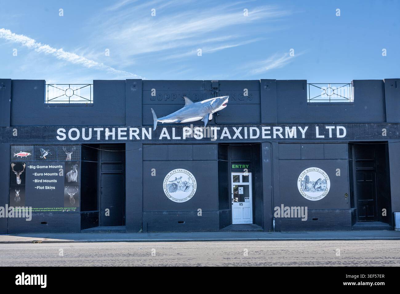 Plüschtiere und Präparierladen, Southern Alps Taxidermy, Pleasant Point, in der Nähe von Timaru, Südinsel, Neuseeland Stockfoto