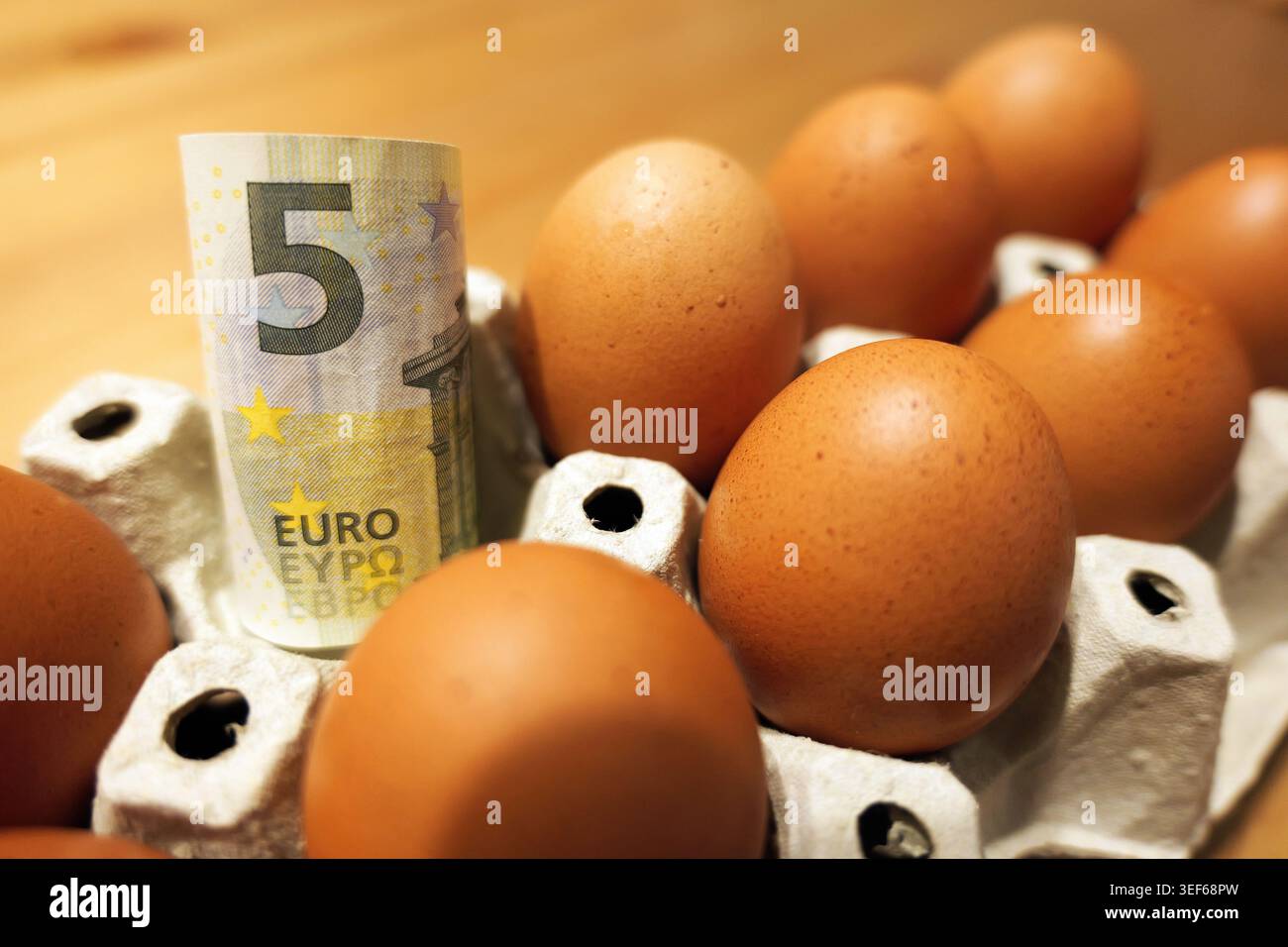 Eier, unverpackt in einem weißen Karton mit einer aufrecht stehenden fünf-Euro-Banknote, die Konzepte der Inflation, der hohen Lebensmittelpreise und des Lebensmittelhandels veranschaulicht Stockfoto