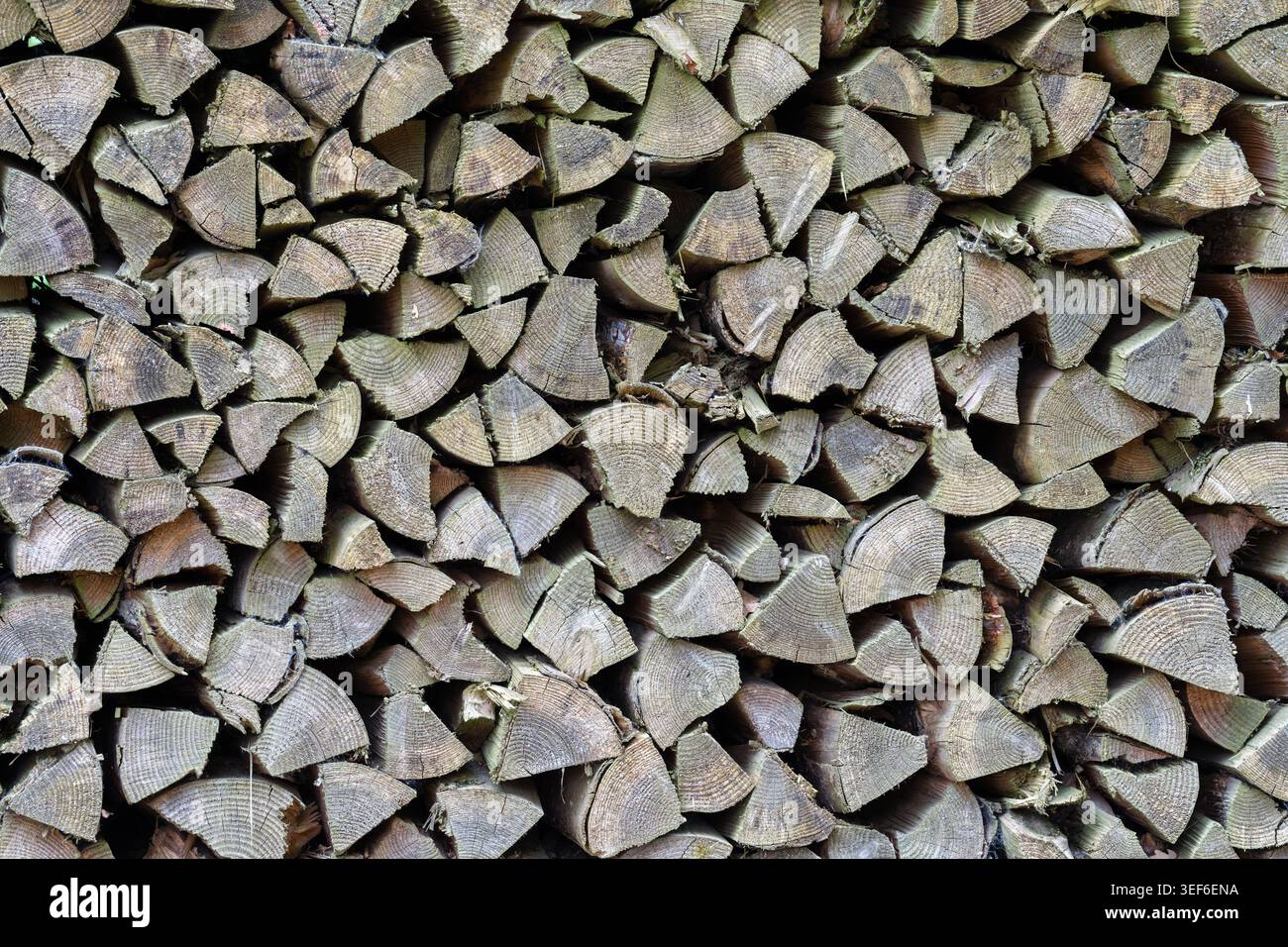 Nahansicht von Stapelholz mit sichtbarer Holzstruktur, Schnittflächen und natürlicher Textur. Stockfoto