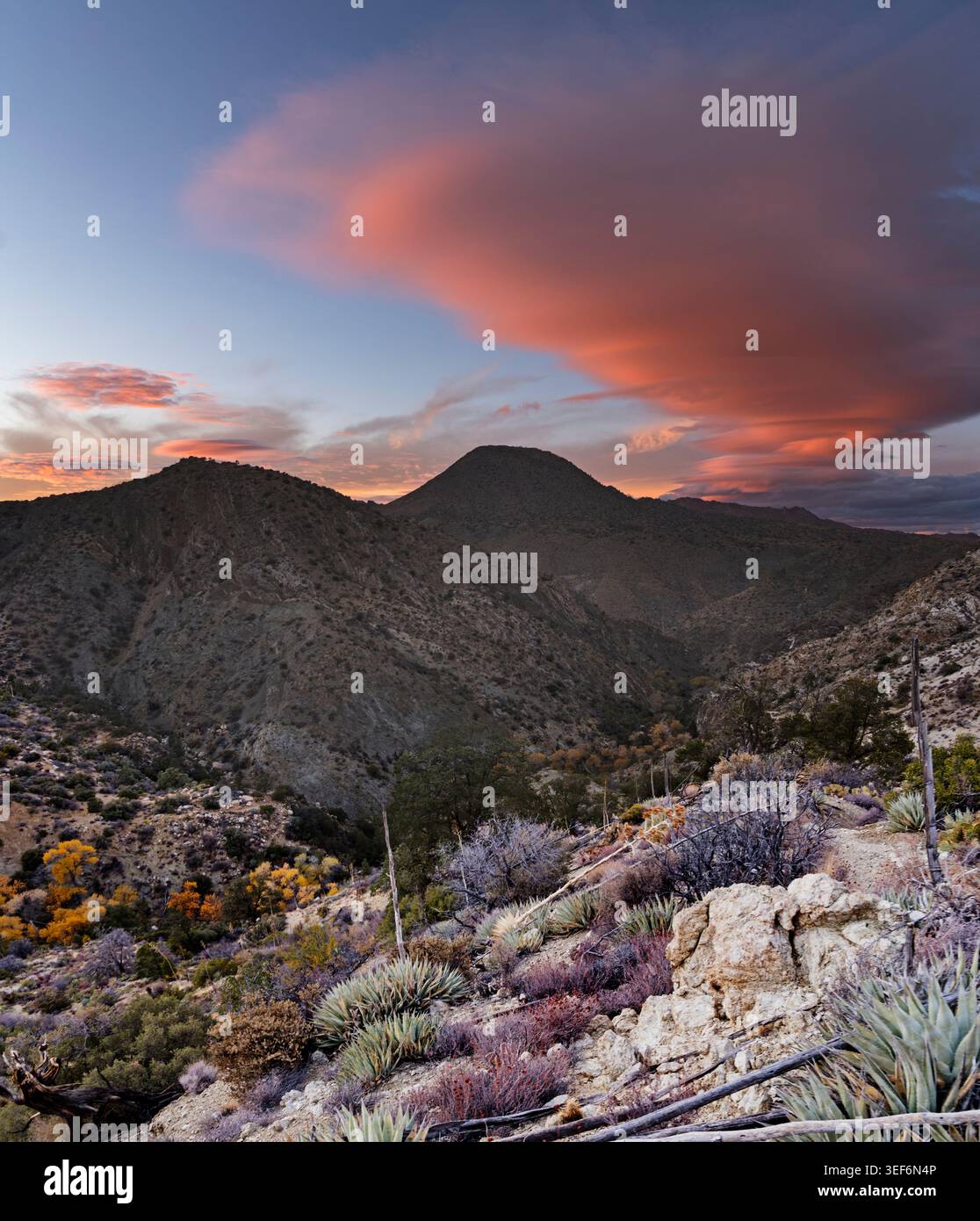 Farbenfroher Sonnenuntergang über dem Deep Canyon im San Bernardino National Forest in Südkalifornien Stockfoto