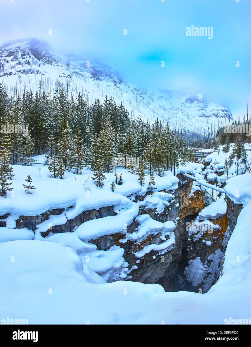 Panoramablick auf den schneebedeckten Marble Canyon Wald und die Berge im Winter Stockfoto