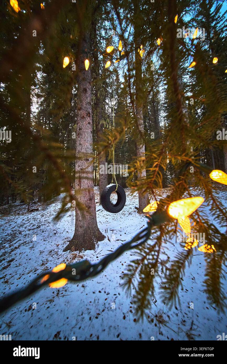 Reifenschaukel Und Weihnachtsbeleuchtung Im Snowy Forest Winterabend Alberta Kanada Stockfoto