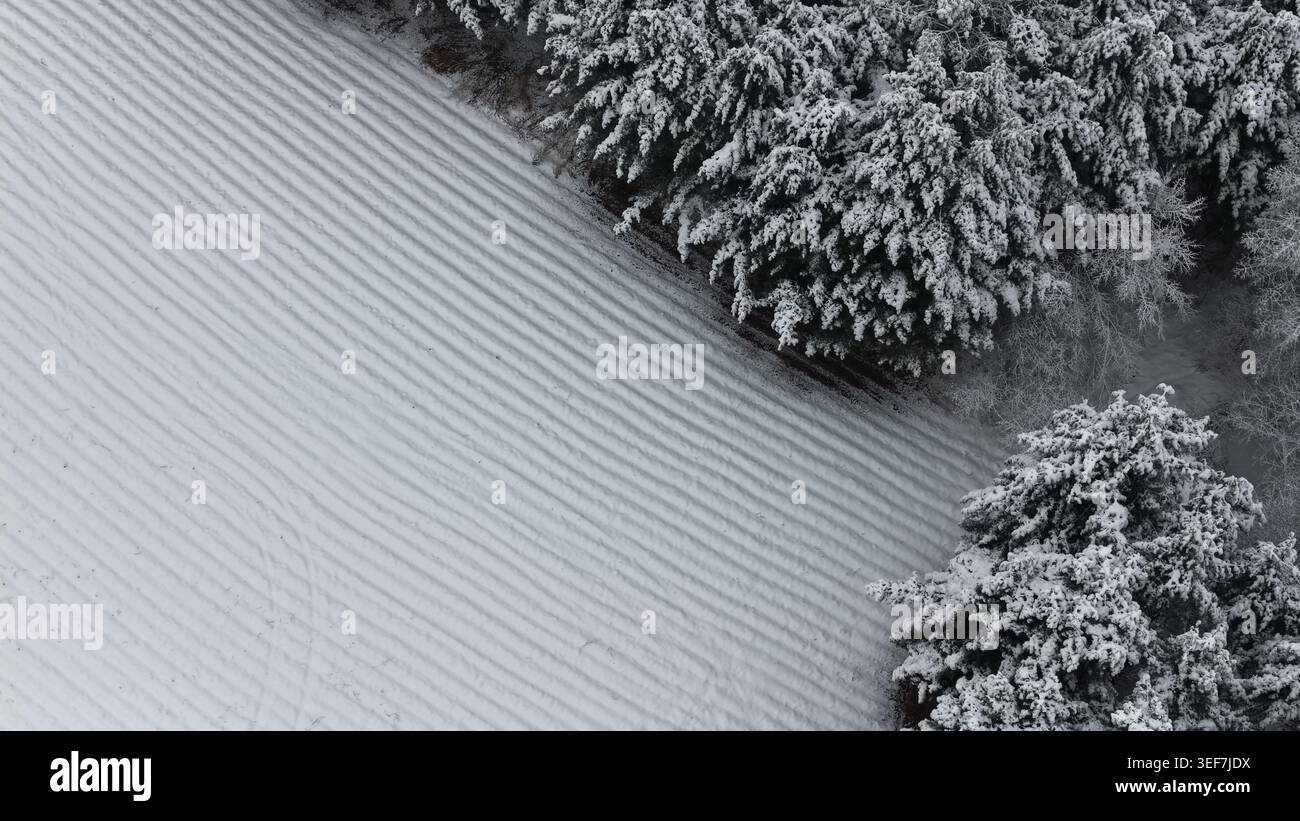 Luftaufnahme von schneebedecktem Wald und offenem Feld Stockfoto