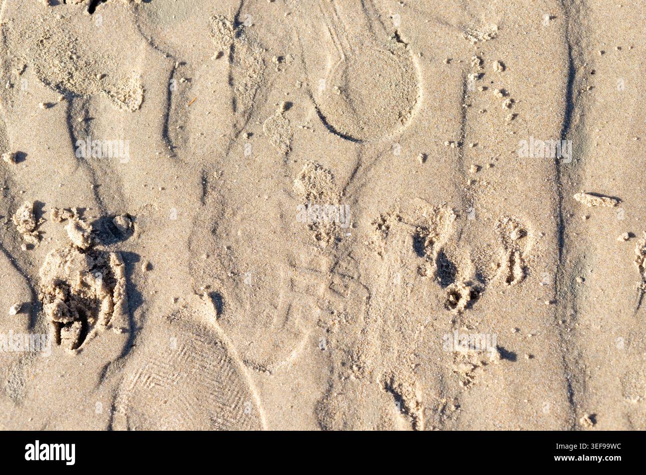 Dramatische Makrofotografie von Wassererosionskanälen und natürlichen Mustern, die in Strandsand gehauen wurden. Erfasst das dynamische Zusammenspiel zwischen Wasser und Ohr Stockfoto