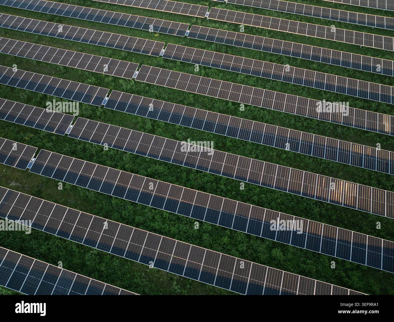 Luftaufnahme von Reihen von Solarpaneelen, die in einem grünen Feld unter sanftem Sonnenlicht installiert sind Augusta, Sizilien, Italien. Stockfoto