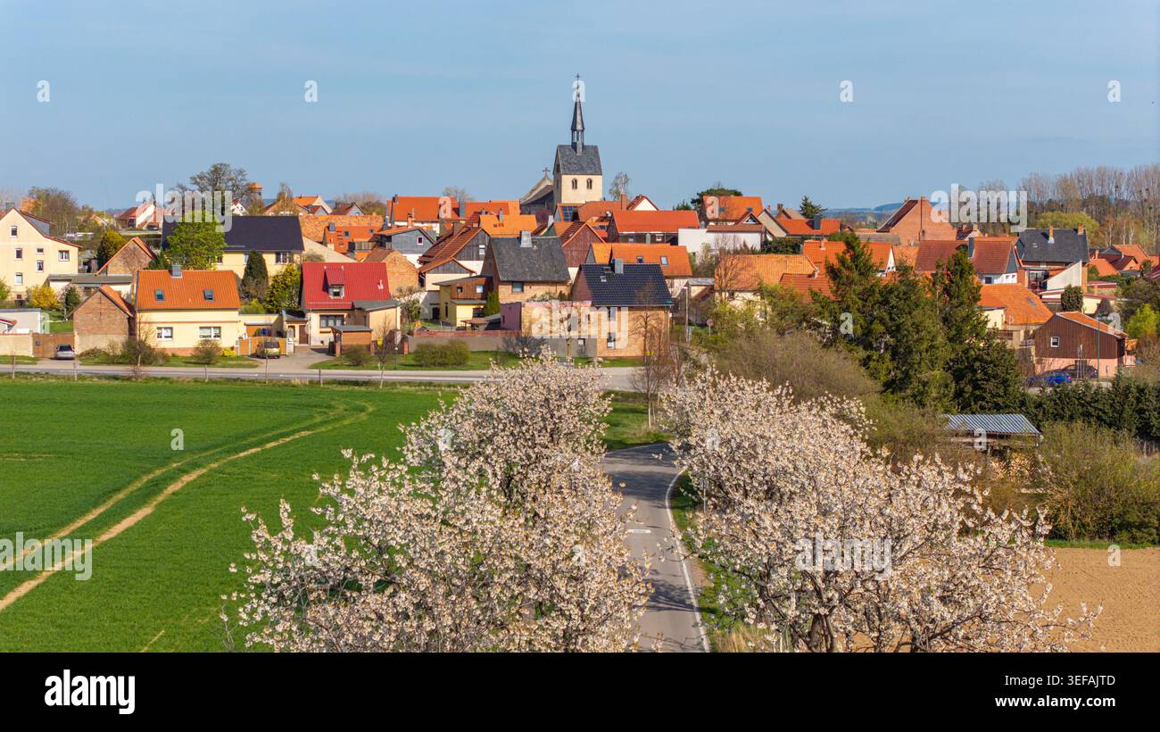 Bilder aus Westerhausen Landkreis Harz im Frühjahr mit blühenden Bäumen Stockfoto