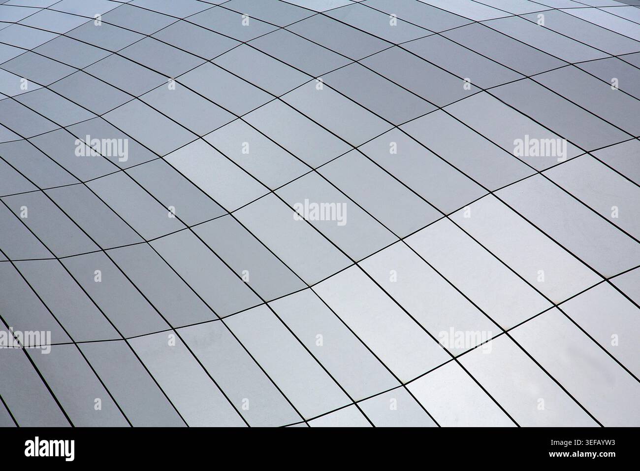Gekrümmte silberne Rasterlinien welken wie eine wissenschaftliche Feldkarte und schaffen einen ruhigen, abstrakten Hintergrund mit natürlicher Geometrie und Bewegung. Stockfoto