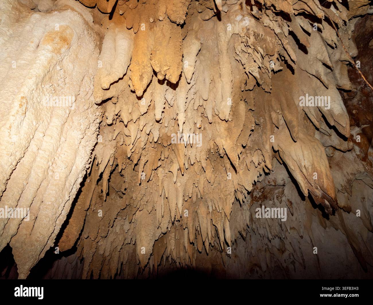Erkunden Sie Fließstein- und Höhlenformationen in der Sakalavas-Höhle in Madagaskars Kalksteinlandschaft Stockfoto