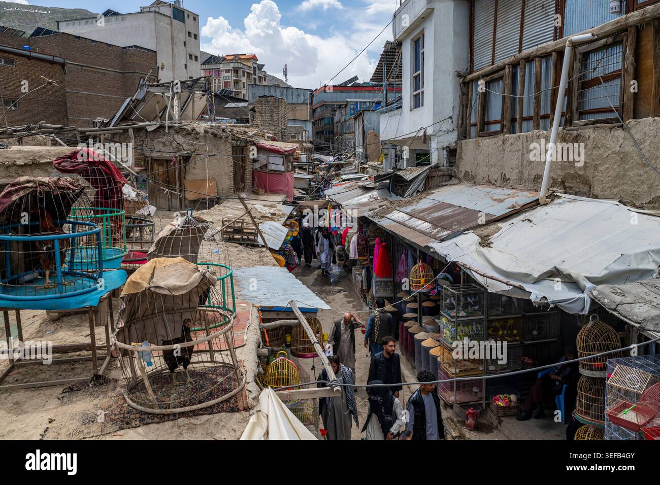 Marktszene in der Vogelstraße mit Vogelkäfigen in Kabul, Afghanistan während der Aktivitäten am Tag Stockfoto