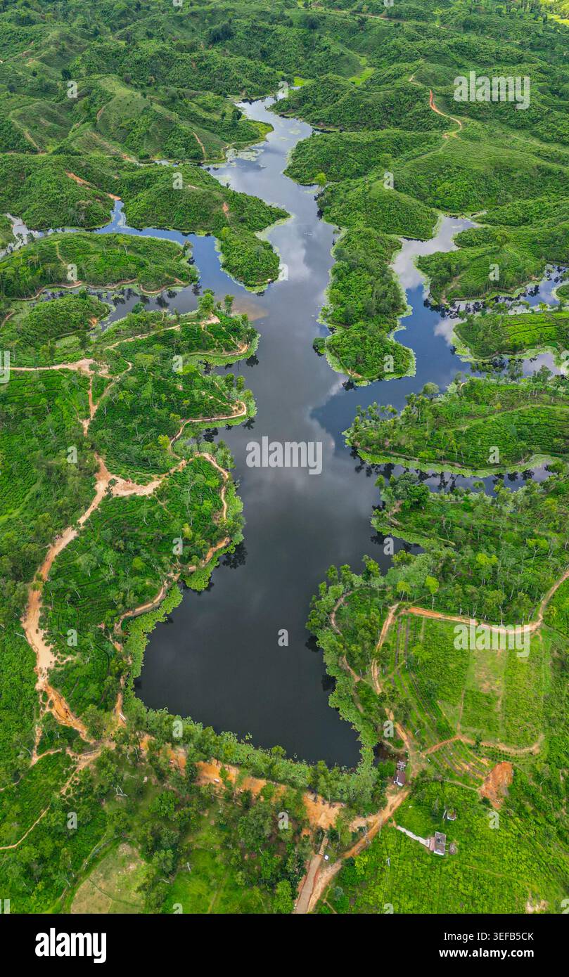 Aus der Vogelperspektive zeigt die Landschaft der Teeregion mit Gewässern und Grün in Sreemangal, Bangladesch während des Tages Stockfoto