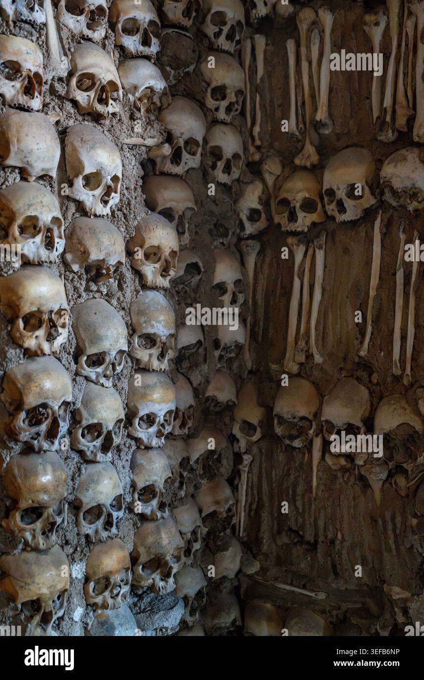 Das Innere der Bones Chapel zeigt Wände, die mit menschlichen Schädeln und Knochen gesäumt sind Stockfoto