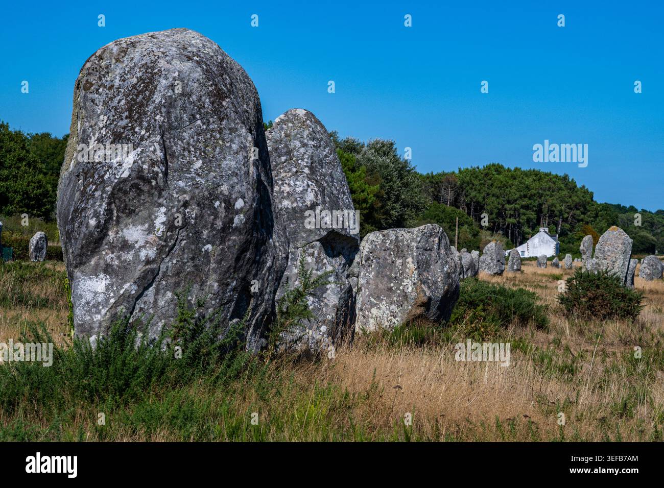 Große stehende Steine auf einem grasbewachsenen Feld mit einem kleinen Haus im Hintergrund in Frankreich Stockfoto