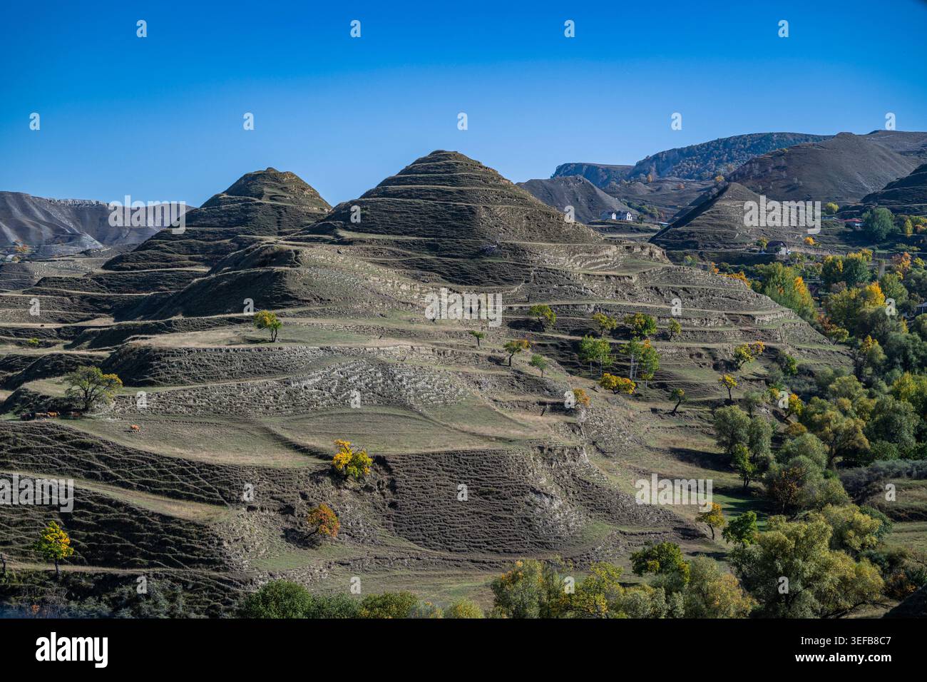 Terrassenfelder heben die Landwirtschaft in Dagestans Landschaft mit klarem Himmel und strukturierten Hügeln hervor Stockfoto