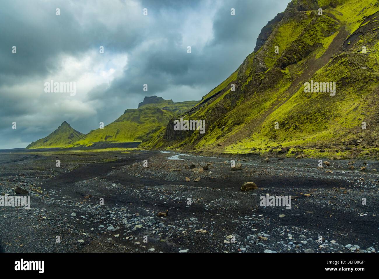 Hellgrünes Moos bedeckt vulkanische Klippen am Gletscher im Süden Islands mit schwarzem Sandbett darunter Stockfoto