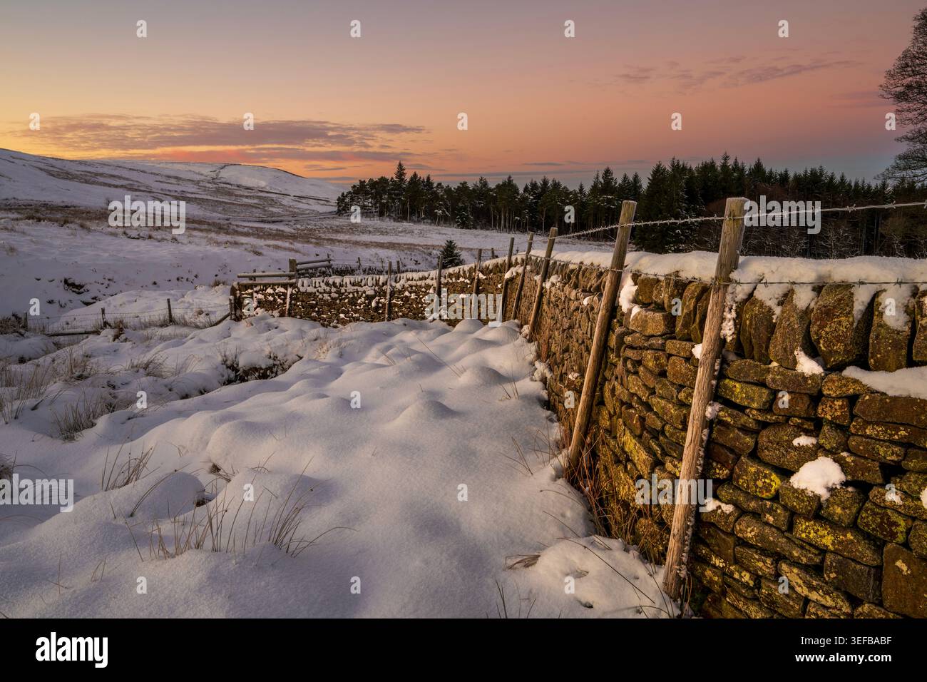 Winterlandschaft in Wildboarclough mit Schnee bedeckt den Boden und Steinmauern bei Sonnenuntergang in Cheshire, Großbritannien Stockfoto