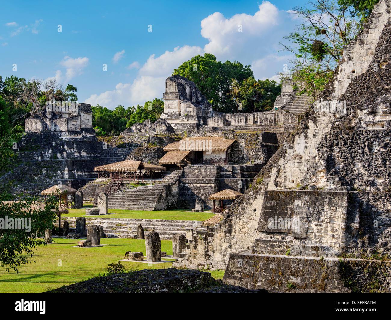 Erkunden Sie antike Strukturen in der Nordakropolis in Tikal, und beobachten Sie historische Ruinen in Guatemala Stockfoto