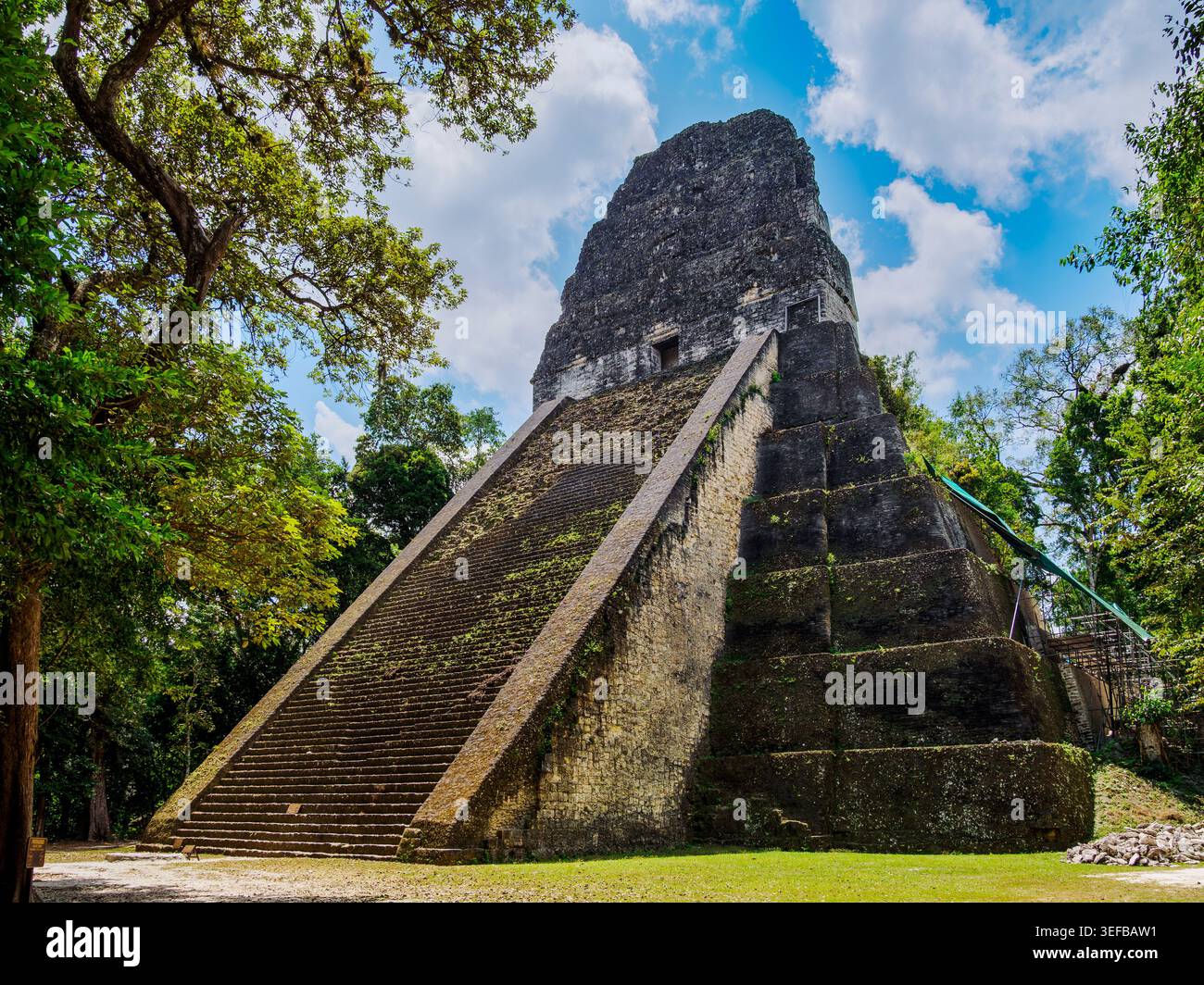 Die Erkundung des Tempels V in Tikal zeigt die alte Maya-Architektur in Guatemala inmitten der Natur Stockfoto