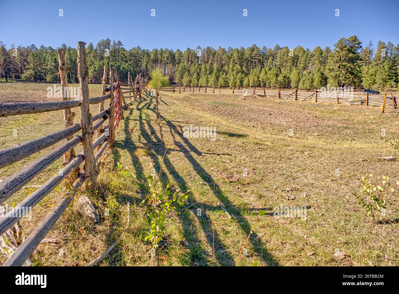 Alte Rinderkorral am Boden des trockenen Murrays Lake im Kaibab National Forest von Arizona mit Schatten durch den Zaun Stockfoto