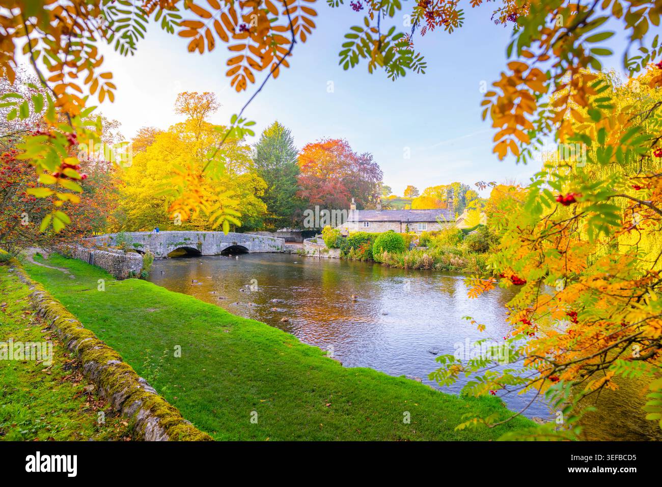 Blick auf die sheepwash Bridge über den Fluss im Herbst mit bunten Blättern und Reflexionen im Wasser in bakewell, derbyshire dales, england Stockfoto