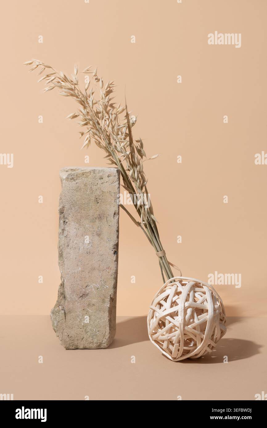 Minimales Stillleben mit getrocknetem Hafergras Korbkugel und rustikalem Steinblock auf beigem Hintergrund. Neutrales Wellness-Konzept und organisches Innendesign. V Stockfoto
